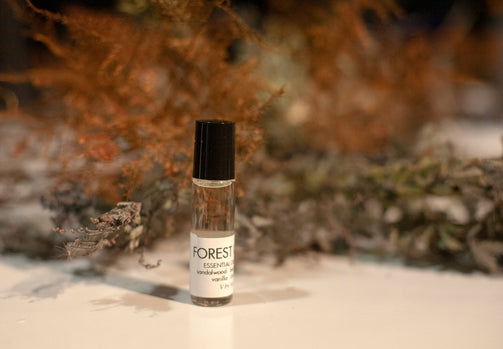 V by Viscera Perfume Collection - VISCERA