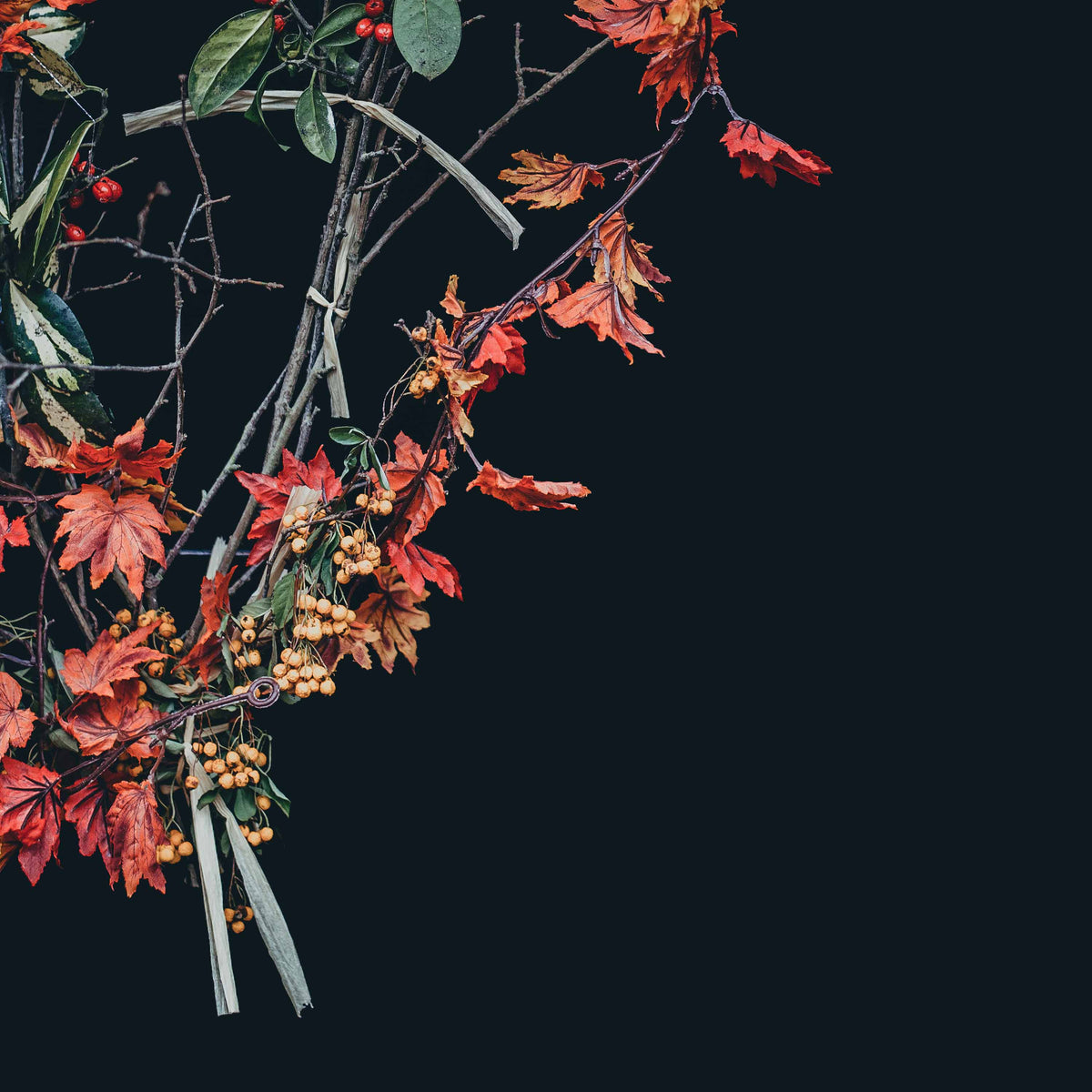 Autumn is Telling Us to Rest