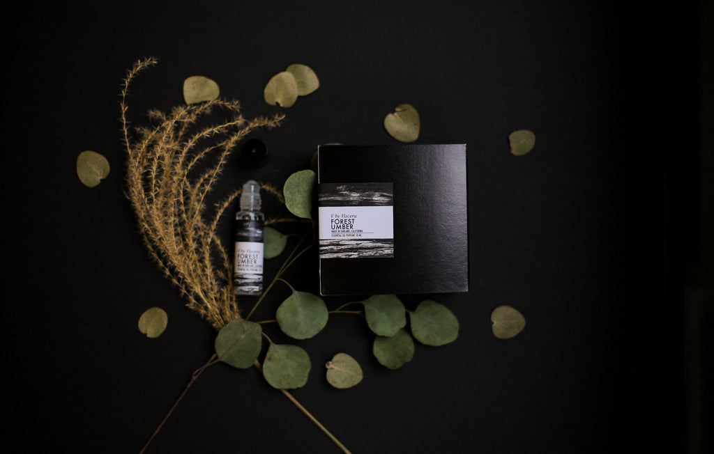 11 Forest Umber Perfume WHOLESALE - VISCERA