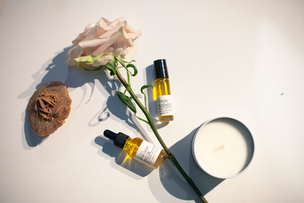Rosehip Oil Set - VISCERA