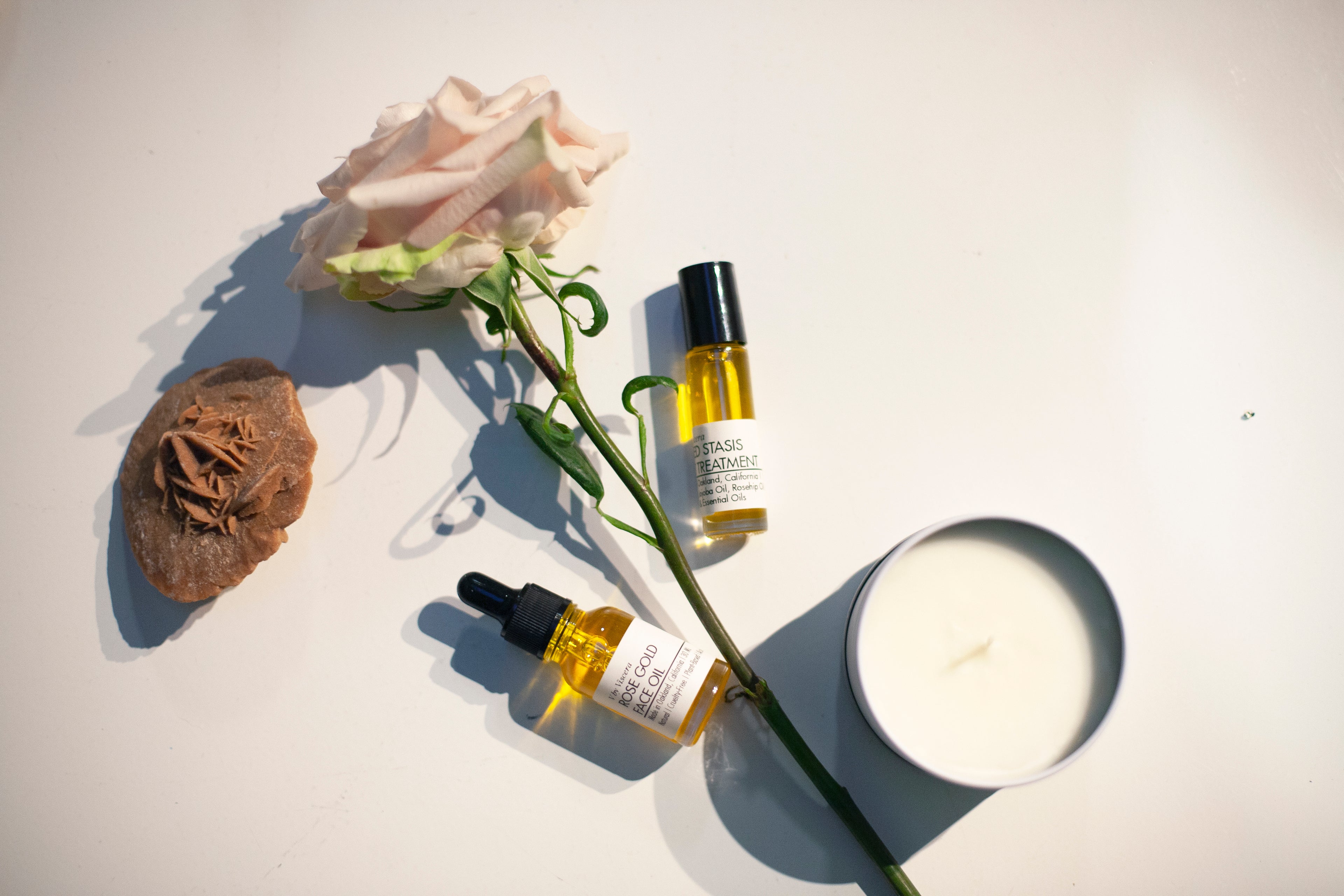 Rosehip Oil Set - VISCERA